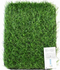 Artificial Turf：Reinforced Composite 30-11