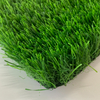 FW-Landscape Turf-Spring-C-35-070-24