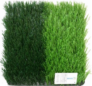 Artificial Turf：8800D(6S)