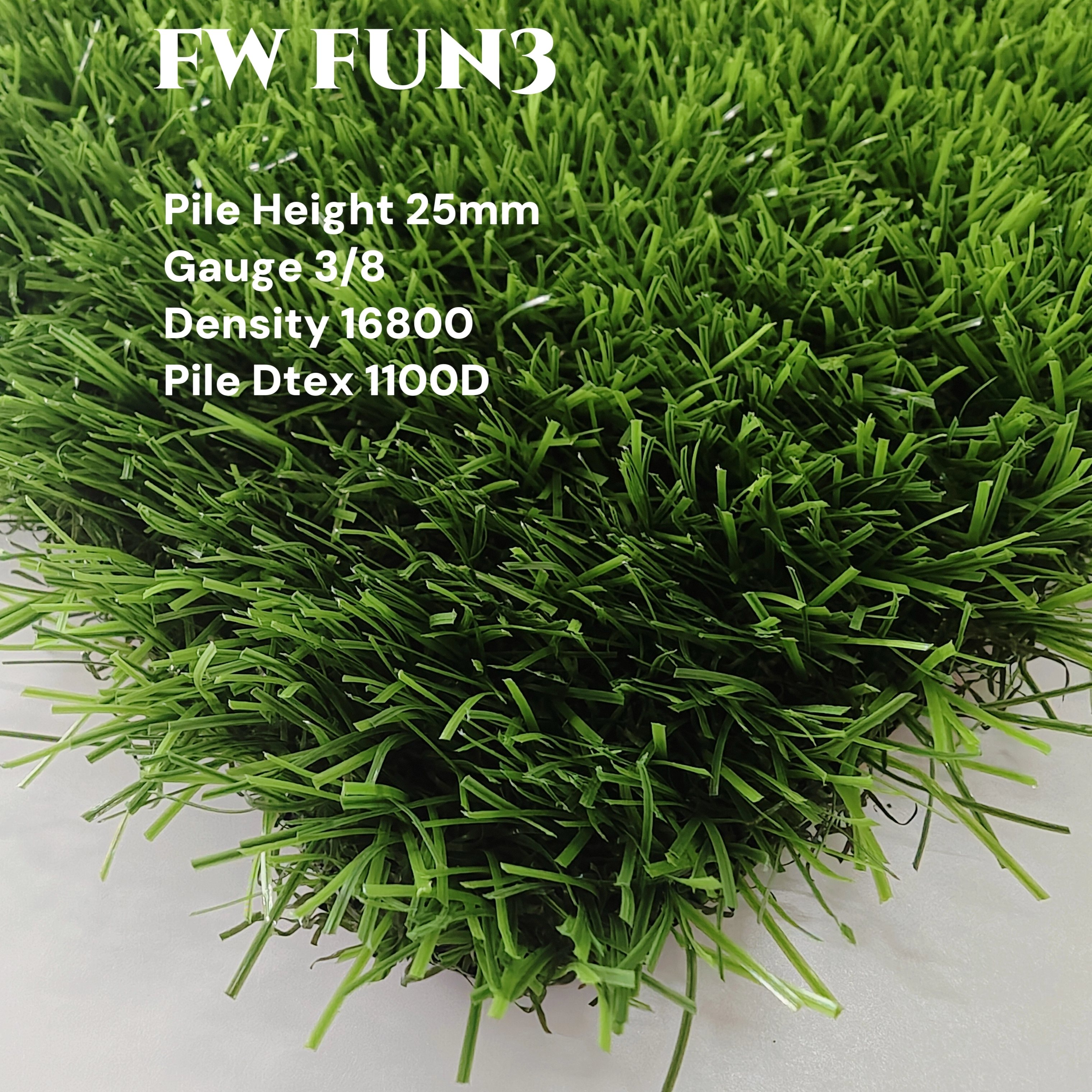 FW FUN3 TURF