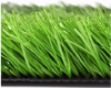 Artificial Turf：Diamond Sports Grass