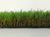 FW-Olive-U-50-16