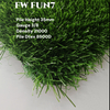 FW FUN7 TURF