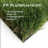 FORWARD PLATINUM OLIVE TURF
