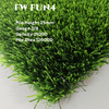 FW FUN4 TURF