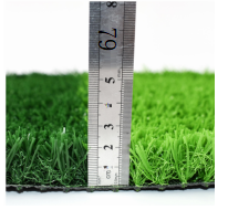 Artificial Turf：C-Type 25-20 Pin