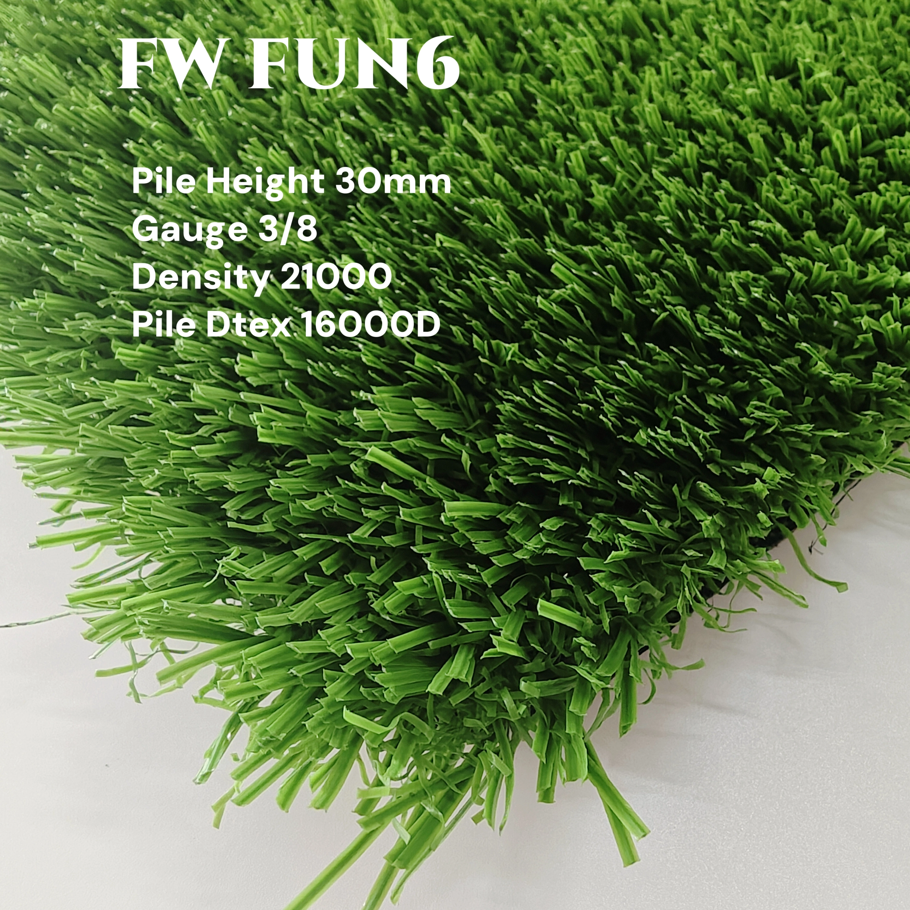 FW FUN6 TURF