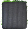 Artificial Turf：8800D(6S)