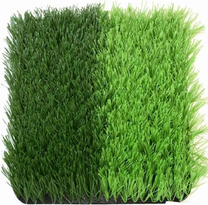 Artificial Turf：12000D(6S)