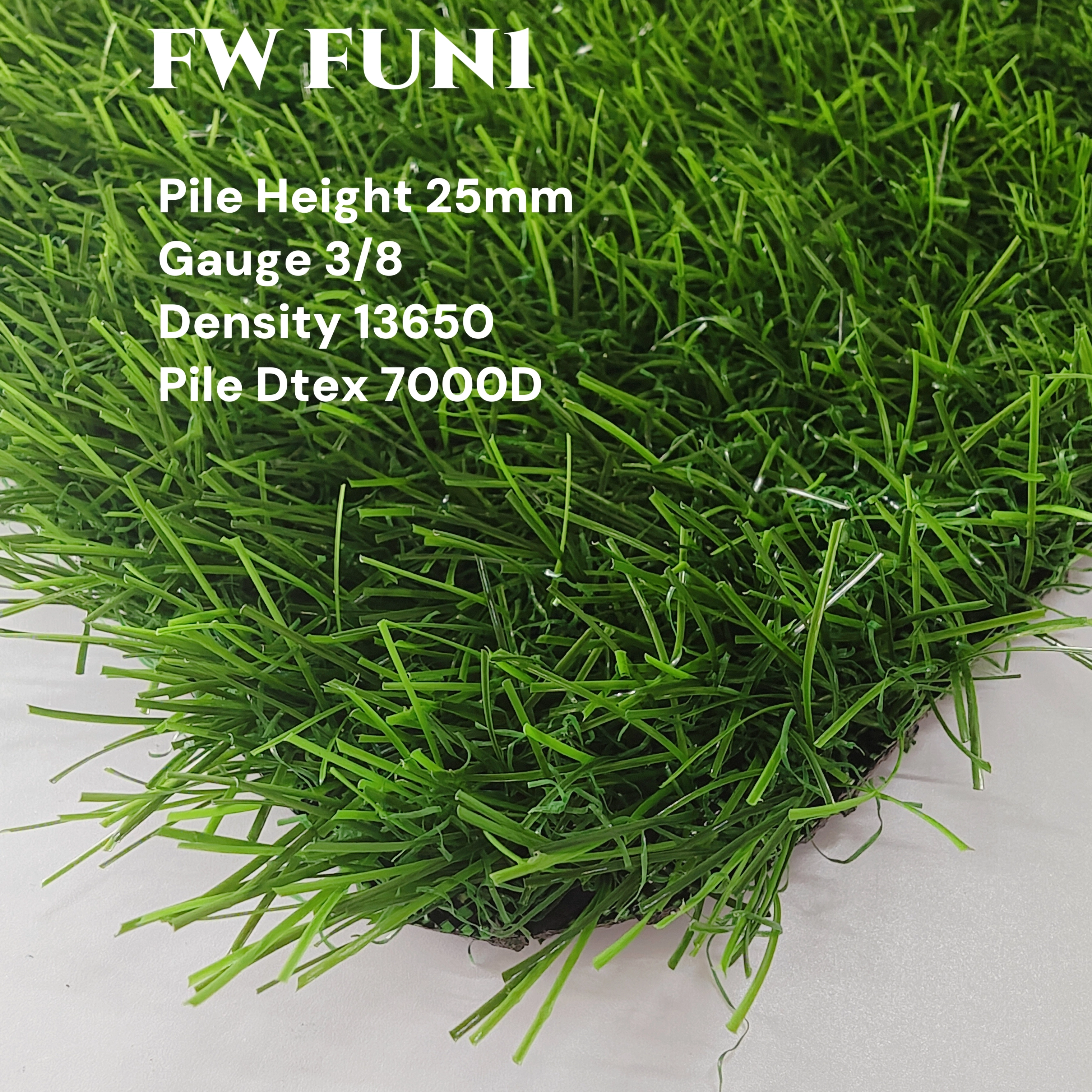 FW FUN1 TURF