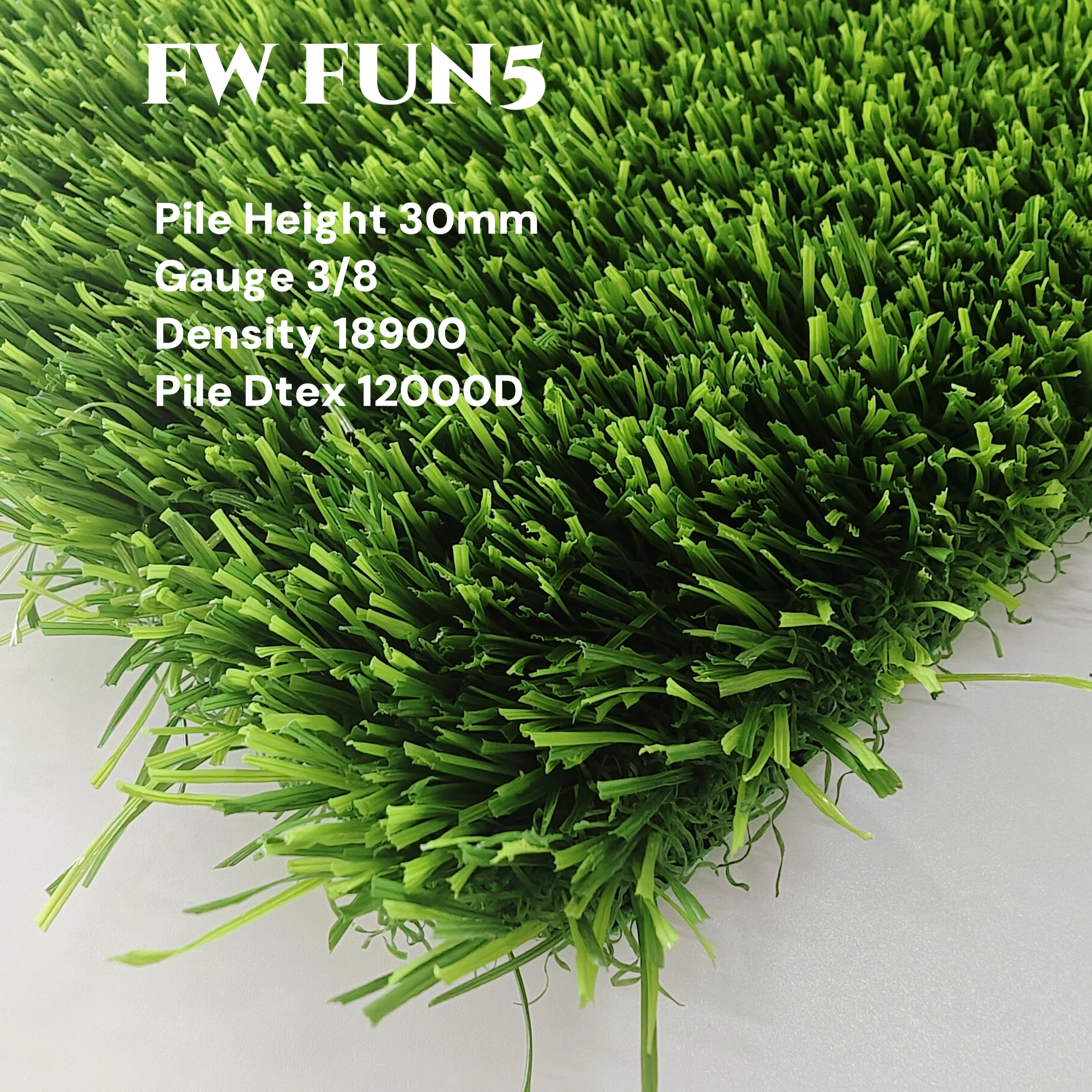 FW FUN5 TURF