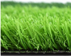 Artificial Turf：C-Type 25-20 Pin