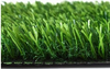 Artificial Turf：Deep2 M25-15
