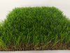 FW-Olive-U-50-16