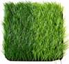 Artificial Turf：7500D(4S)