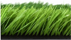 Artificial Turf：7500D(4S)