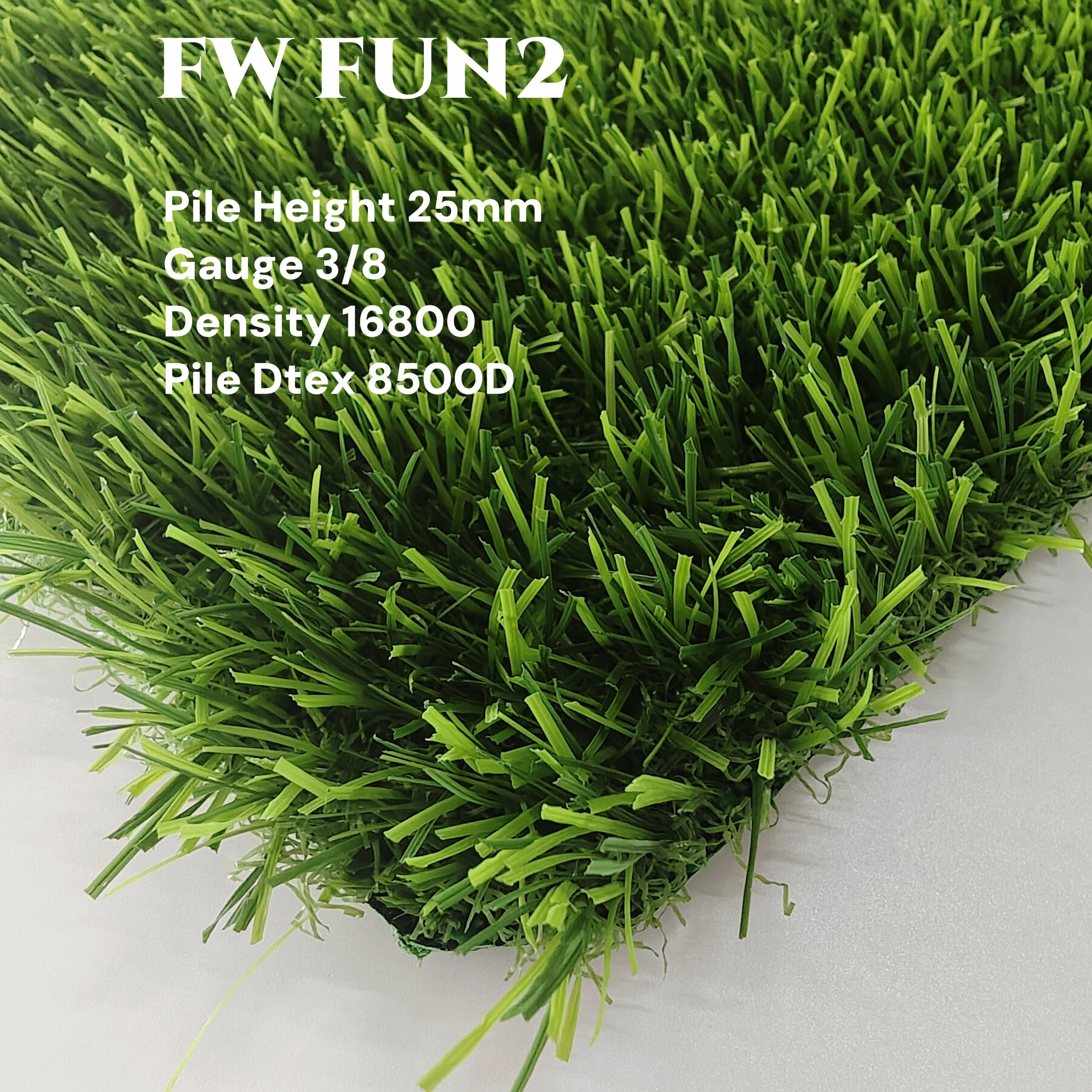 FW FUN2 TURF